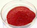 Chromium picolinate manufacturers suppliers