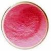Manganese gluconate manufacturers suppliers